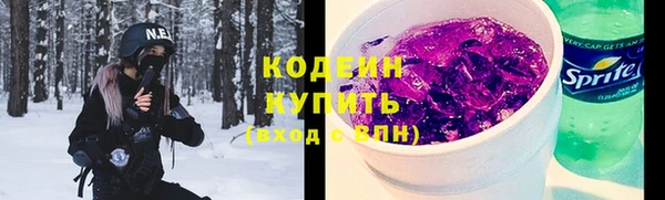 гашик Новозыбков