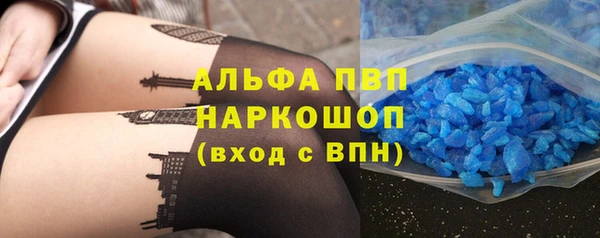 гашик Новозыбков