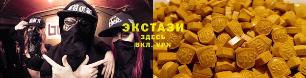 гашик Новозыбков