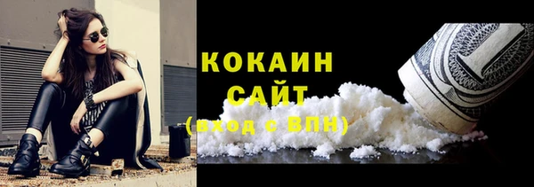 гашик Новозыбков