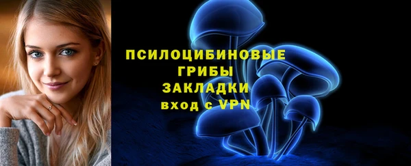молекула духа Новокубанск