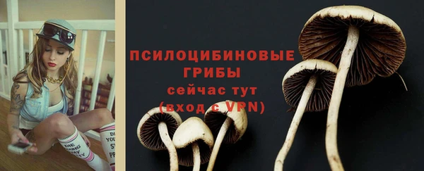 прущие крисы Новодвинск