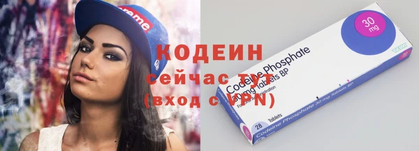 гашик Новозыбков