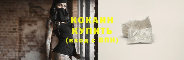 прущие крисы Новодвинск