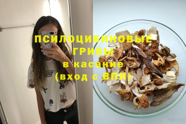 молекула духа Новокубанск