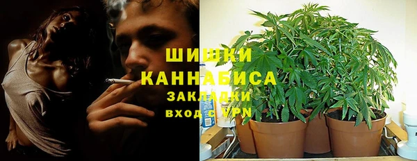 прущие крисы Новодвинск