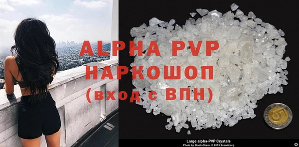 гашик Новозыбков