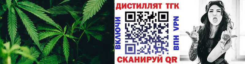 Купить где  Тарко-Сале  ТГК концентрат 