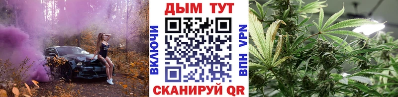Бошки Шишки Amnesia  Купить где  Тарко-Сале 